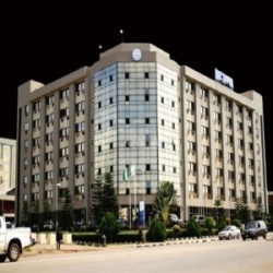 cate-capital_market